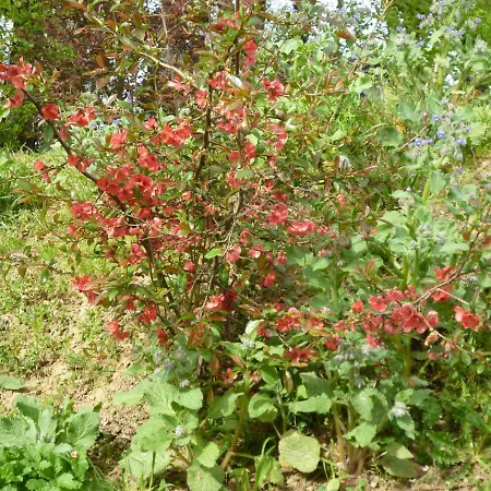 D'hotes Le Bourdieu 3*