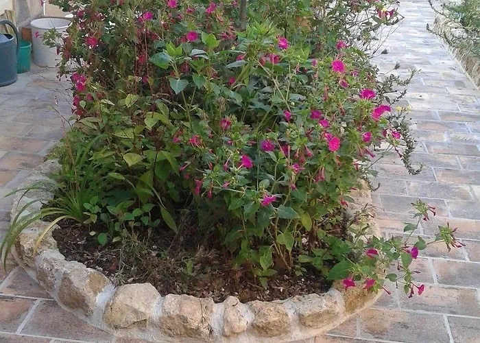 Bed & Breakfast D'hotes Le Bourdieu 3*