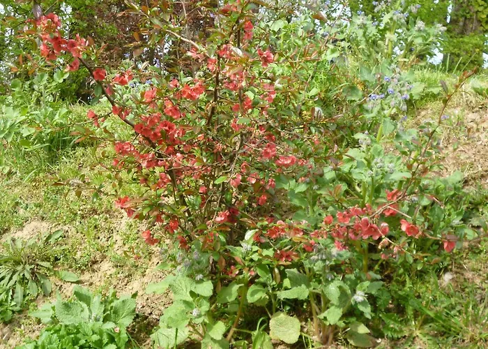 D'hotes Le Bourdieu 3*